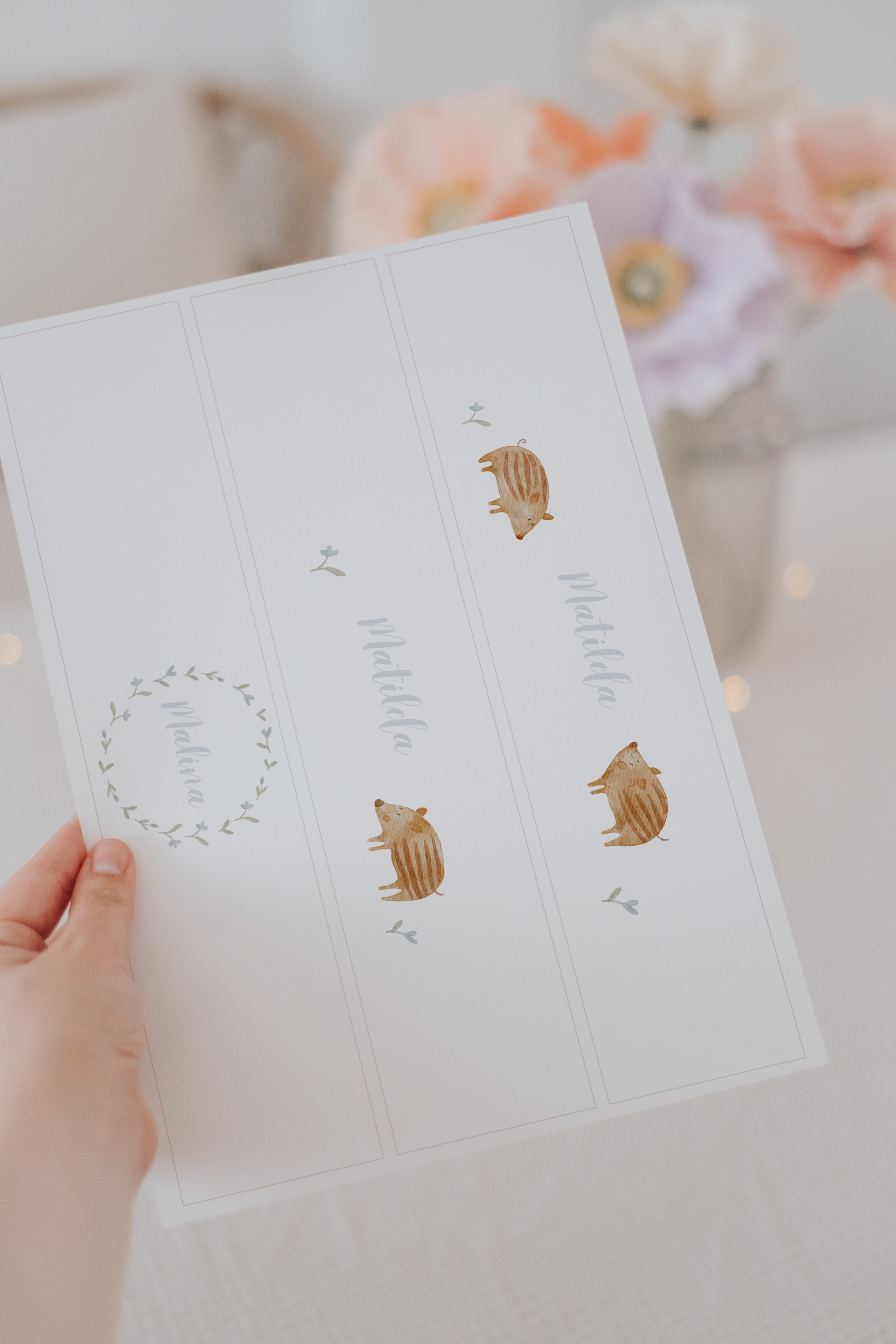 Banderolen Frischlinge