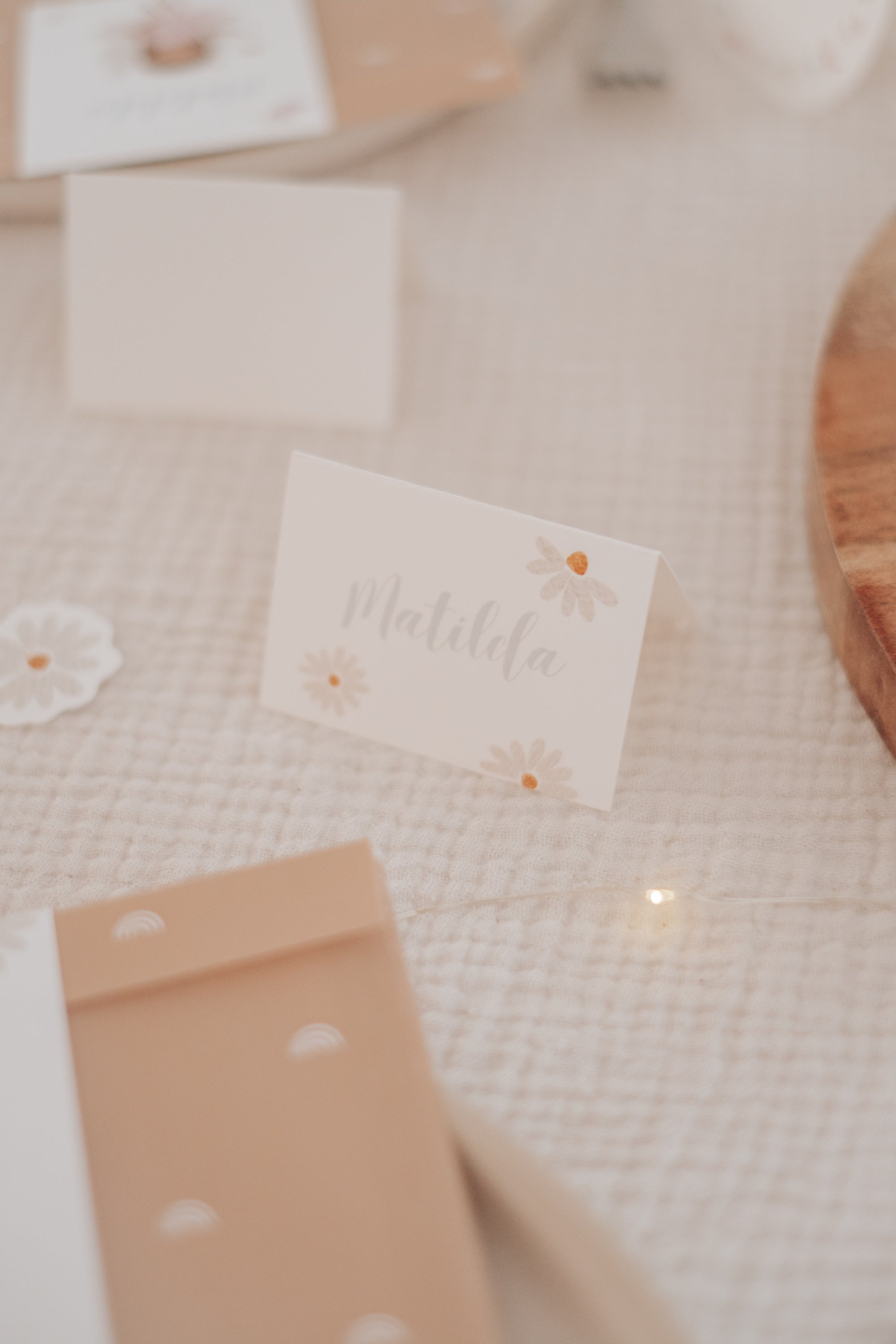 Set Feen - großes Bundle