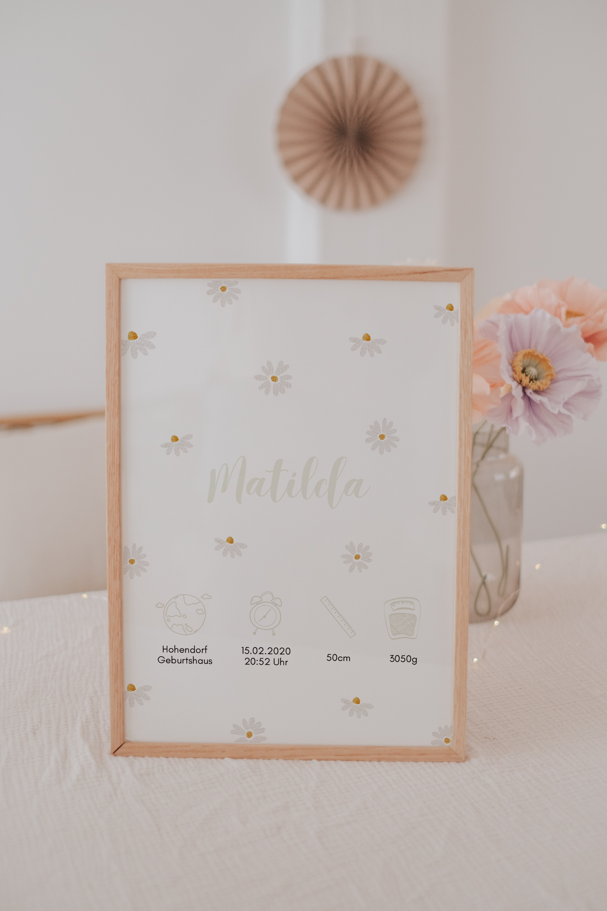 Set Gänseblümchen - großes Bundle