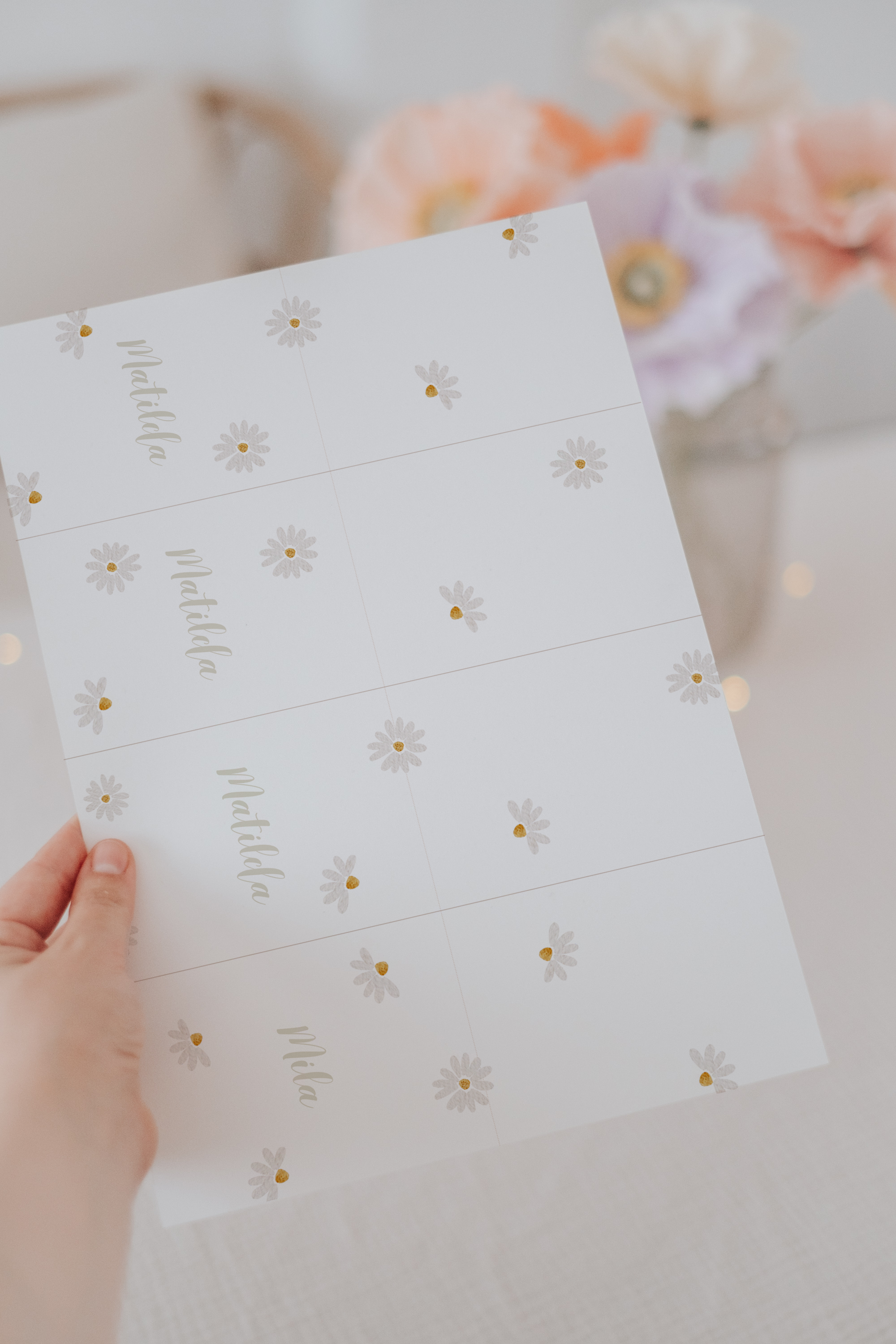 Geschenktüten Gänseblümchen