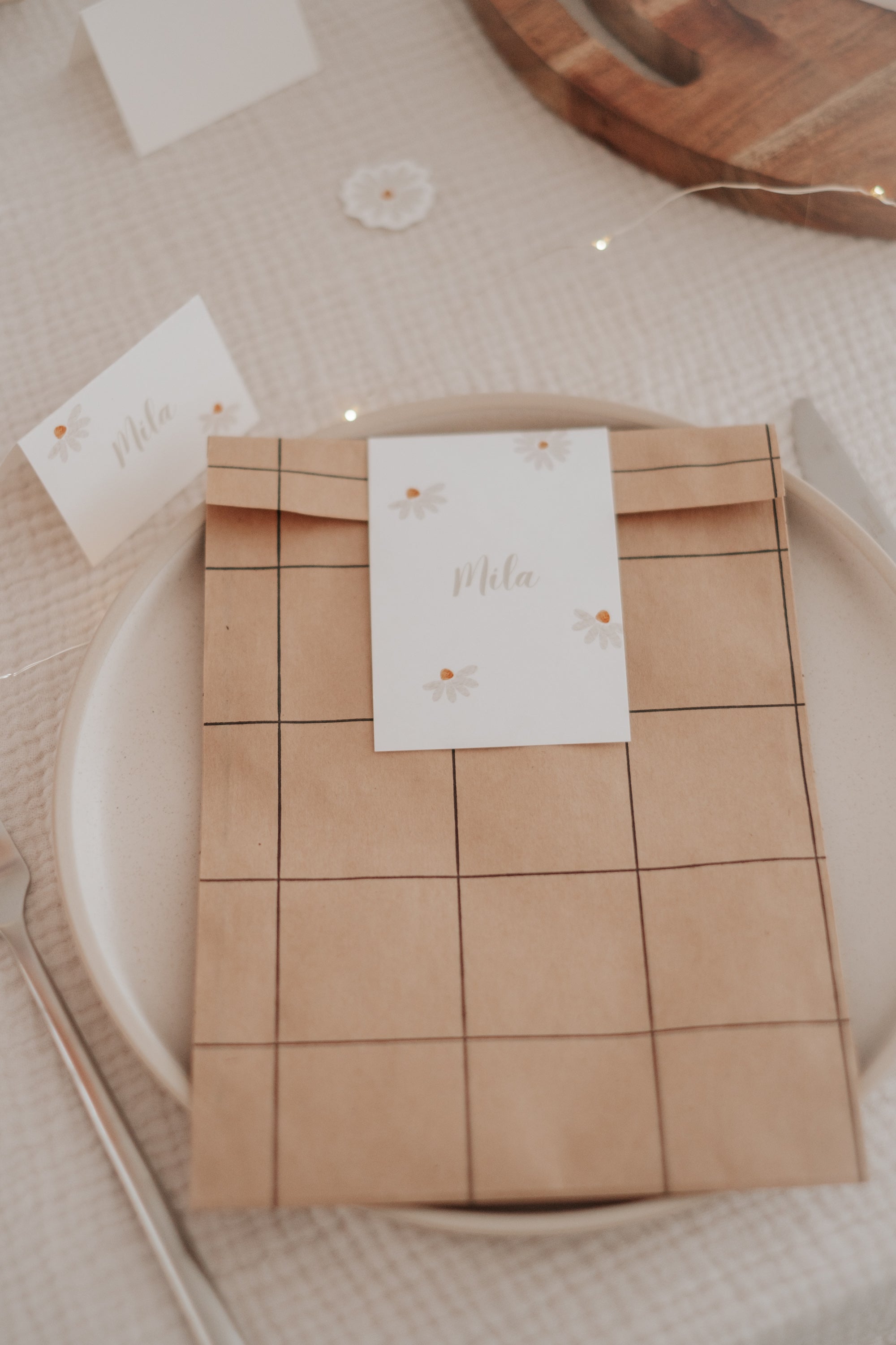 Geschenktüten Gänseblümchen