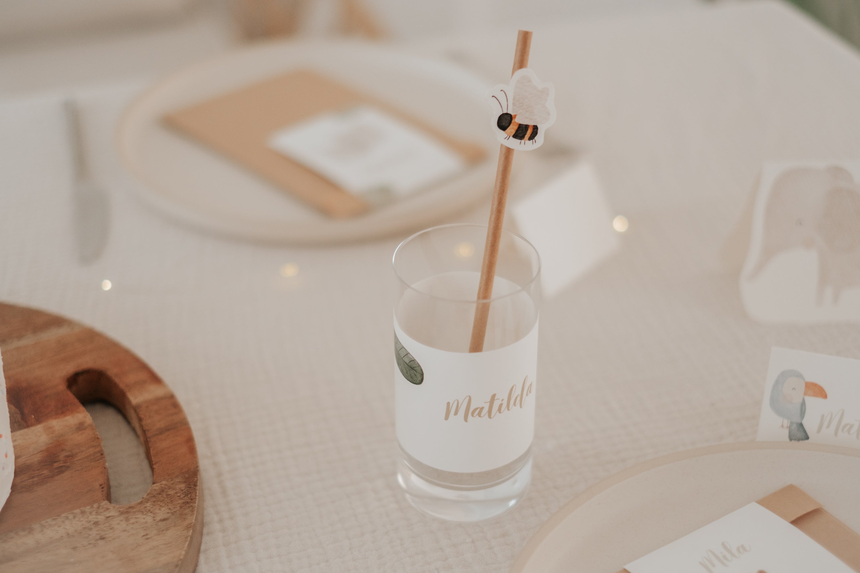 Banderolen Dschungel