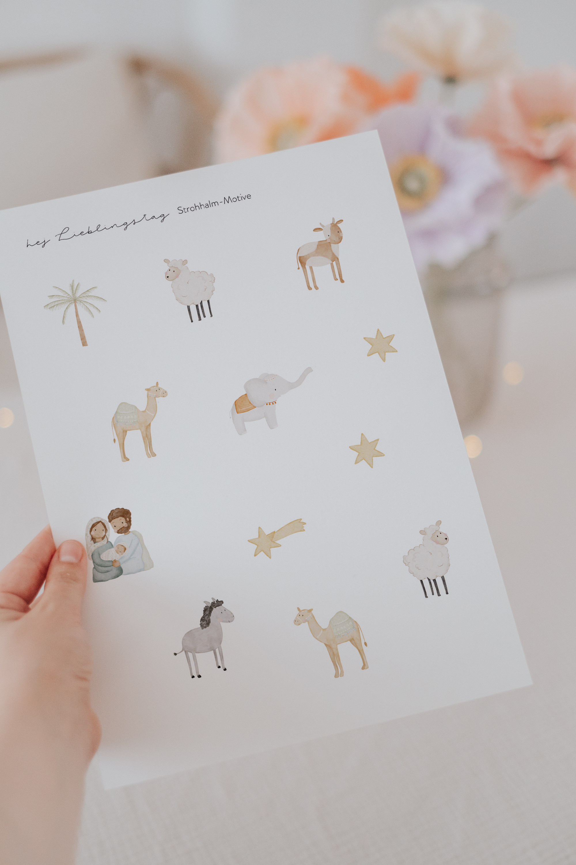 Strohhalme Weihnachten Krippe