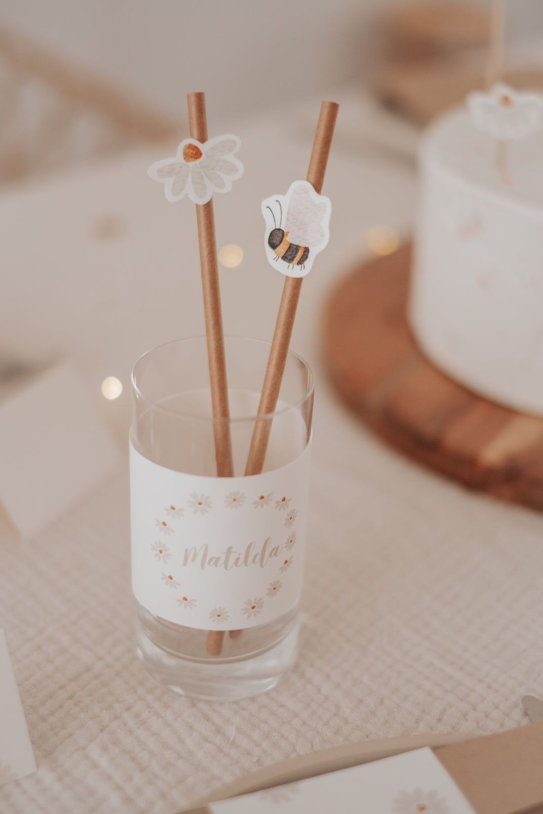 Strohhalme Gänseblümchen