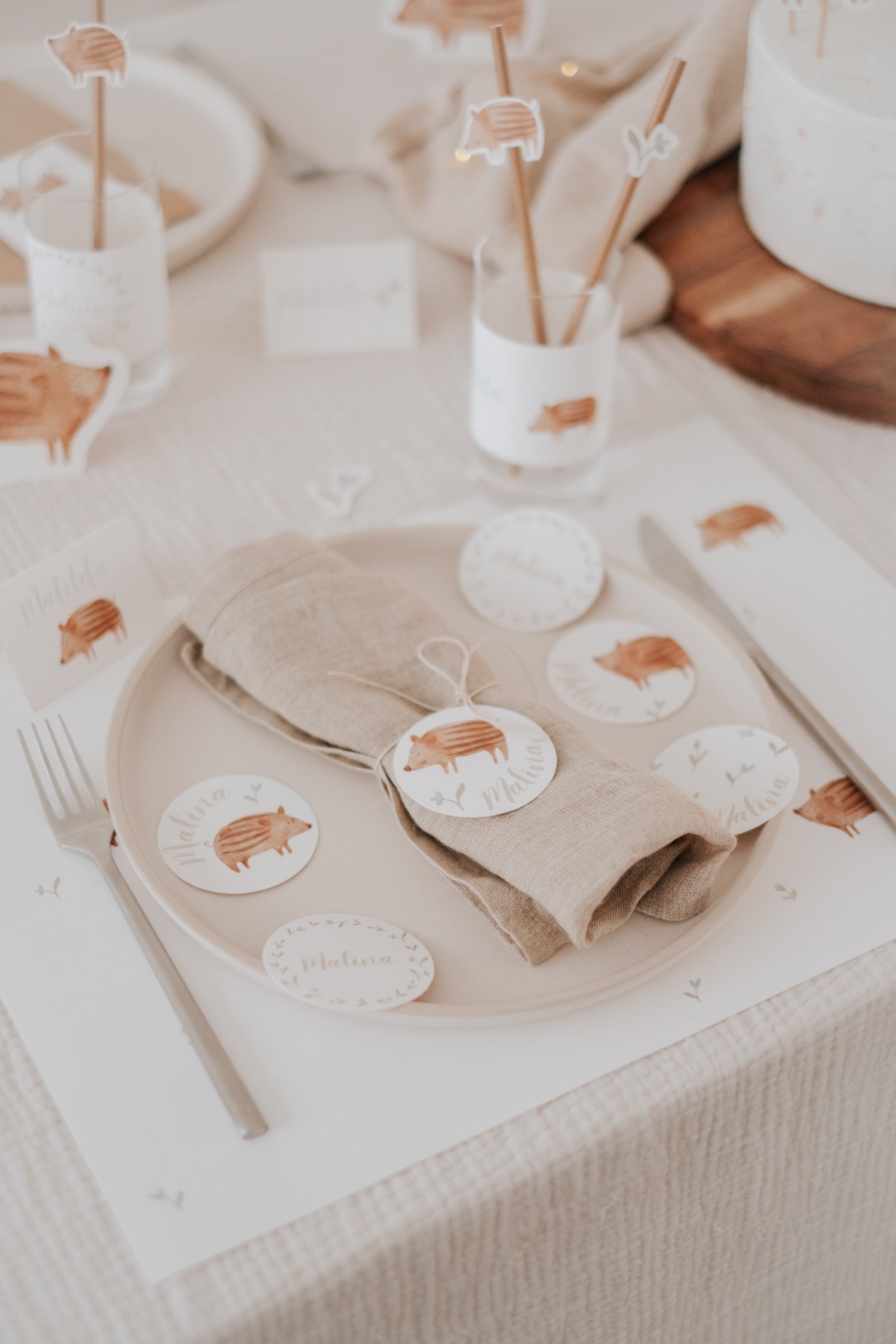 Set Frischlinge - großes Bundle