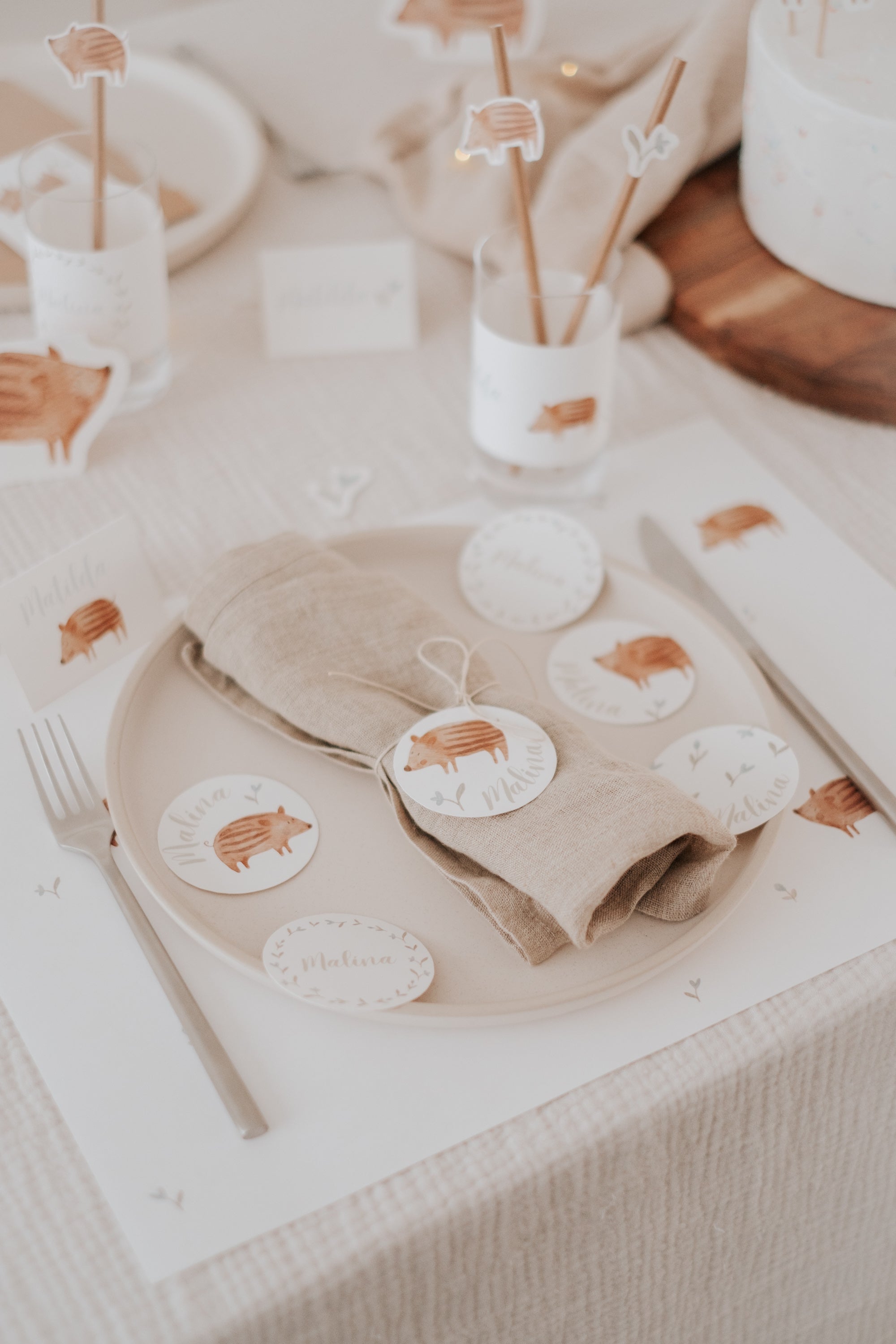 Set Frischlinge - großes Bundle